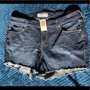Jean Shorts Torrid Size 16